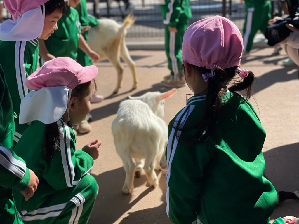 2024.11.6.7 秋の遠足（年少組） | 日々の記録 | 日々のようす | 鹿浜