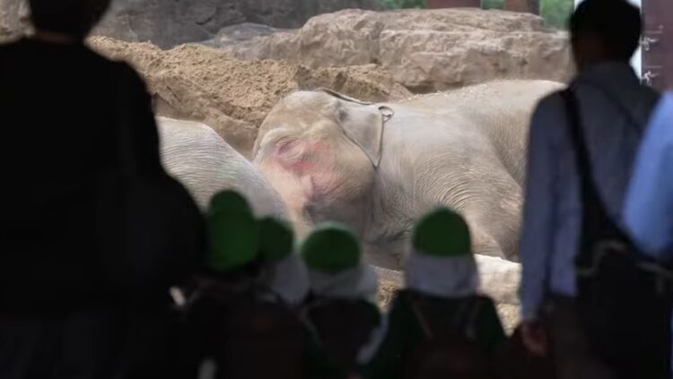 2025.10.29　秋の遠足（年中組）